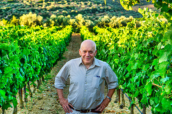 Antonis at the vineyard